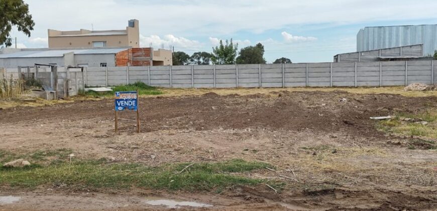 TERRENO
