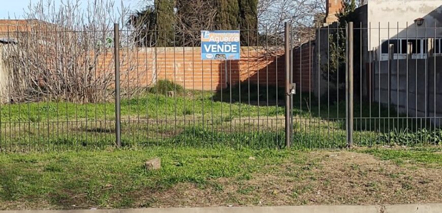 TERRENO
