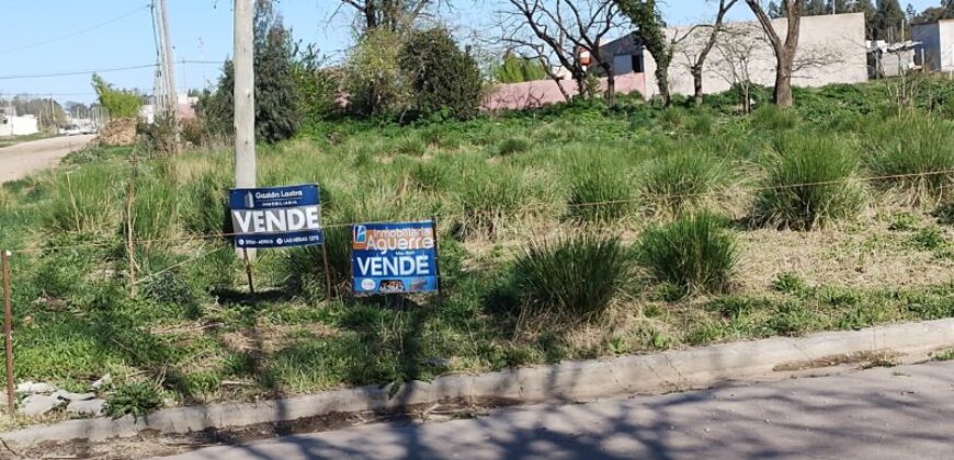 TERRENO