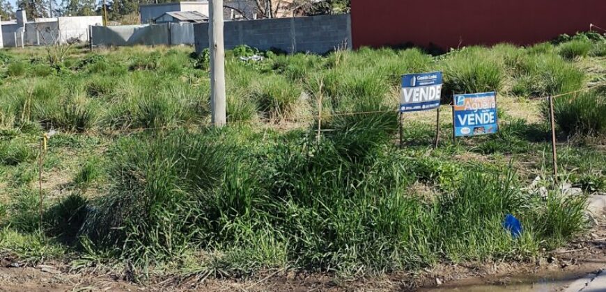 TERRENO