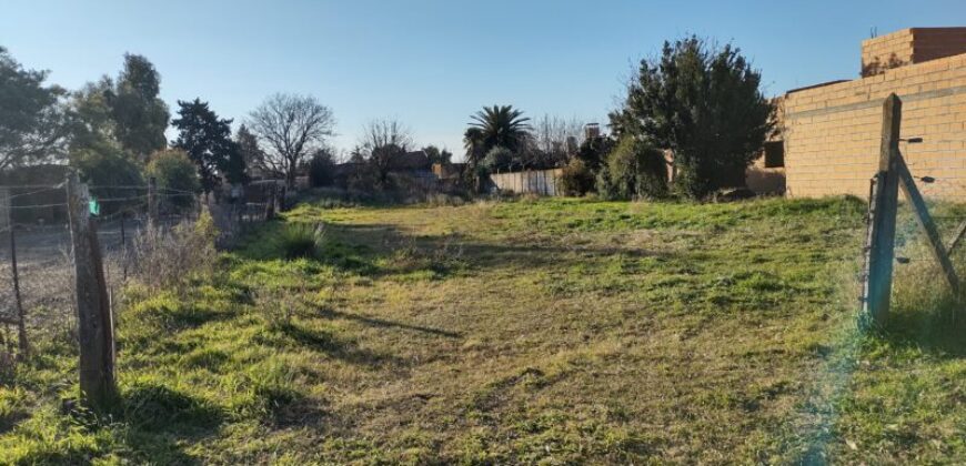 TERRENO