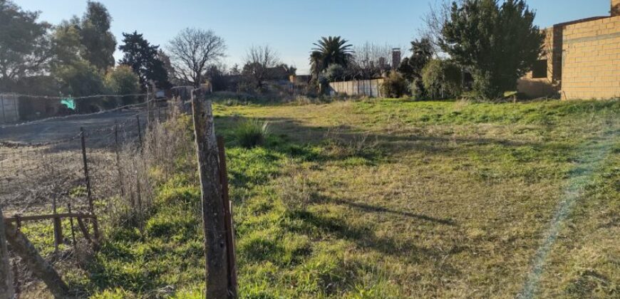 TERRENO