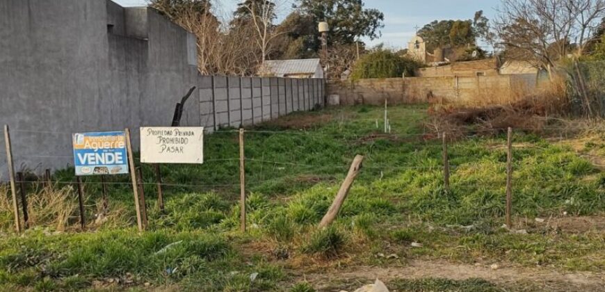 TERRENO