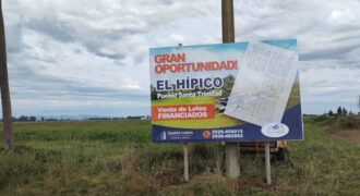 terreno