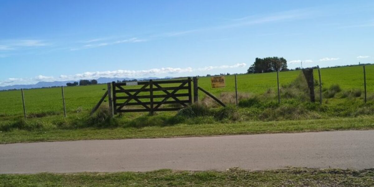 CAMPO
