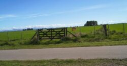 CAMPO