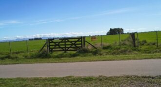 CAMPO