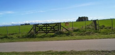 CAMPO